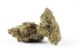 Hawaiian Sativa 